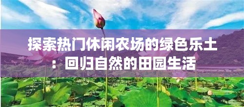 探索热门休闲农场的绿色乐土：回归自然的田园生活