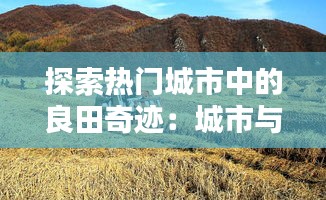 探索热门城市中的良田奇迹：城市与农业的和谐共生