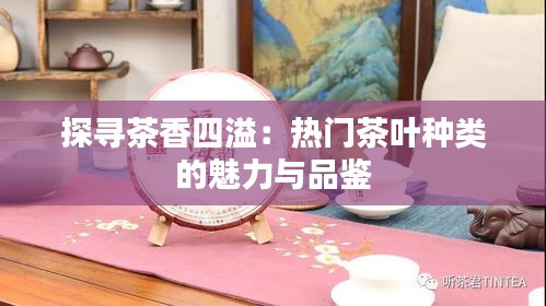 探寻茶香四溢：热门茶叶种类的魅力与品鉴