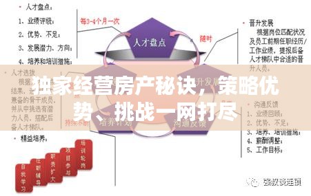 独家经营房产秘诀，策略优势、挑战一网打尽