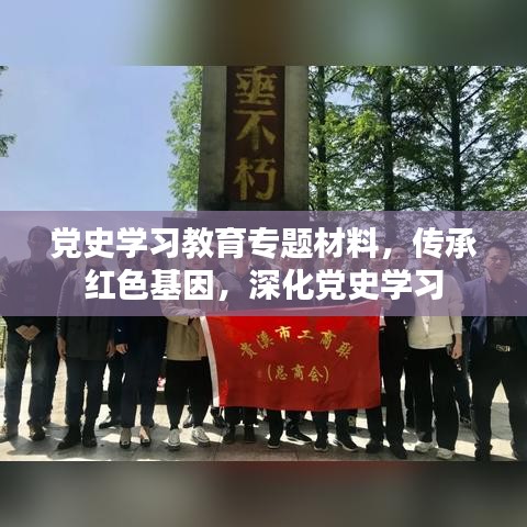 党史学习教育专题材料，传承红色基因，深化党史学习