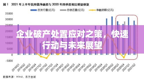 企业破产处置应对之策，快速行动与未来展望