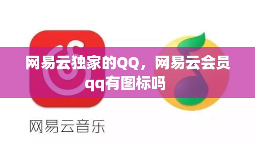 网易云独家的QQ，网易云会员qq有图标吗 