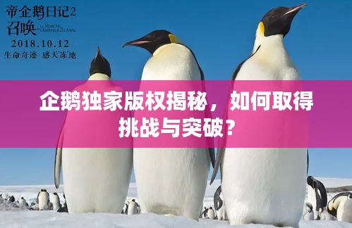 企鹅独家版权揭秘，如何取得挑战与突破？