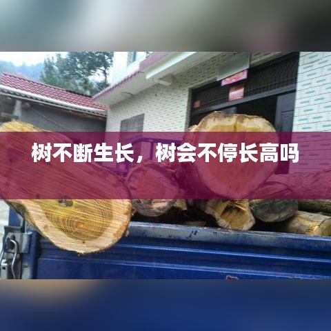 树不断生长，树会不停长高吗 