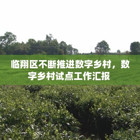 临翔区不断推进数字乡村，数字乡村试点工作汇报 