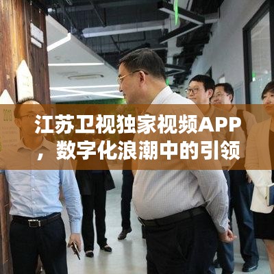 江苏卫视独家视频APP，数字化浪潮中的引领者