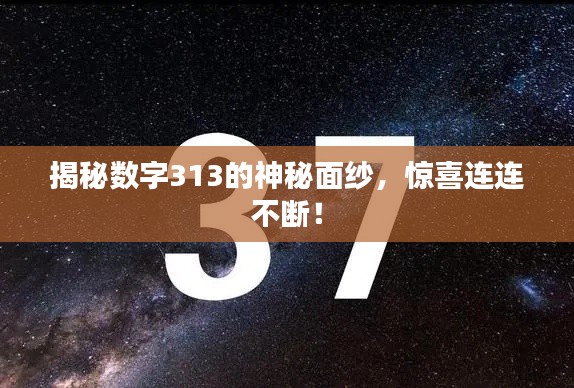 揭秘数字313的神秘面纱，惊喜连连不断！