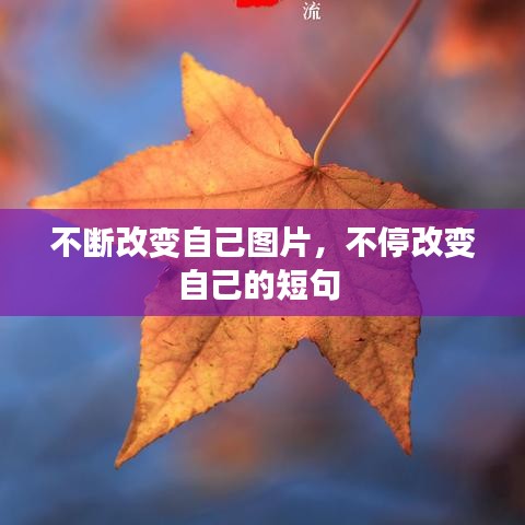 不断改变自己图片，不停改变自己的短句 