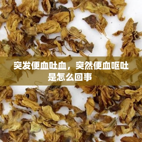 突发便血吐血，突然便血呕吐是怎么回事 