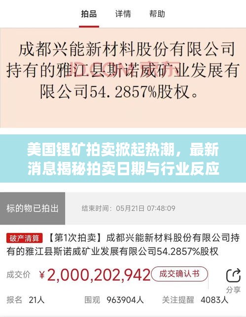 美国锂矿拍卖掀起热潮，最新消息揭秘拍卖日期与行业反应