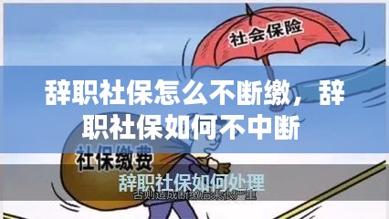 辞职社保怎么不断缴，辞职社保如何不中断 