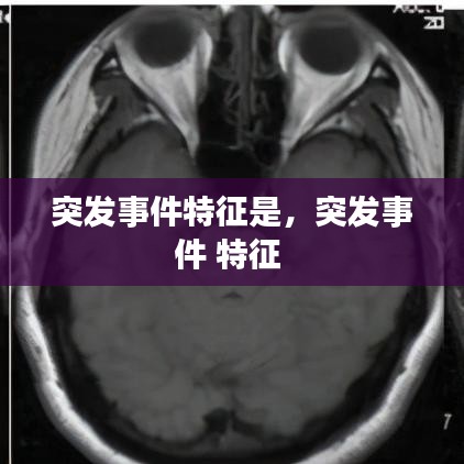 突发事件特征是，突发事件 特征 