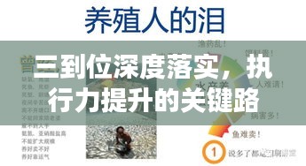 三到位深度落实，执行力提升的关键路径探索