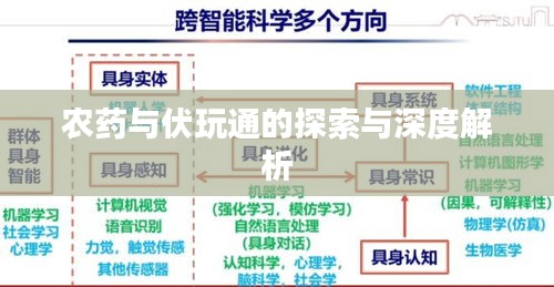 农药与伏玩通的探索与深度解析