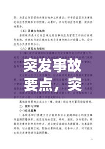 突发事故要点，突发事故事件应急预案 