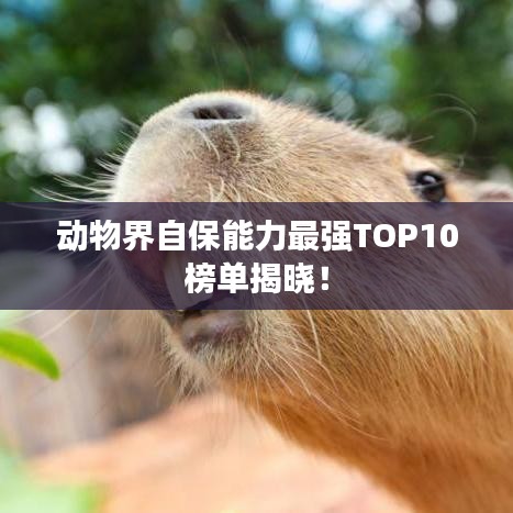 动物界自保能力最强TOP10榜单揭晓！