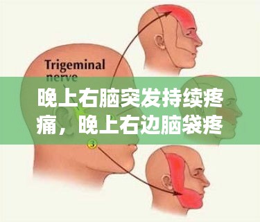 晚上右脑突发持续疼痛，晚上右边脑袋疼一阵一阵疼 