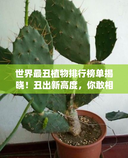 世界最丑植物排行榜单揭晓！丑出新高度，你敢相信吗？