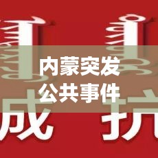 内蒙突发公共事件关注与应对策略解析