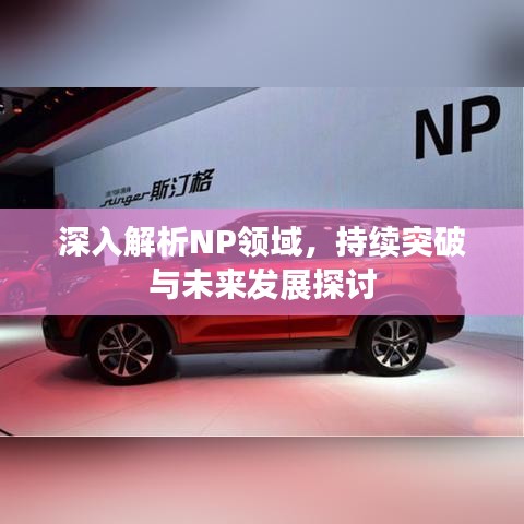 深入解析NP领域，持续突破与未来发展探讨