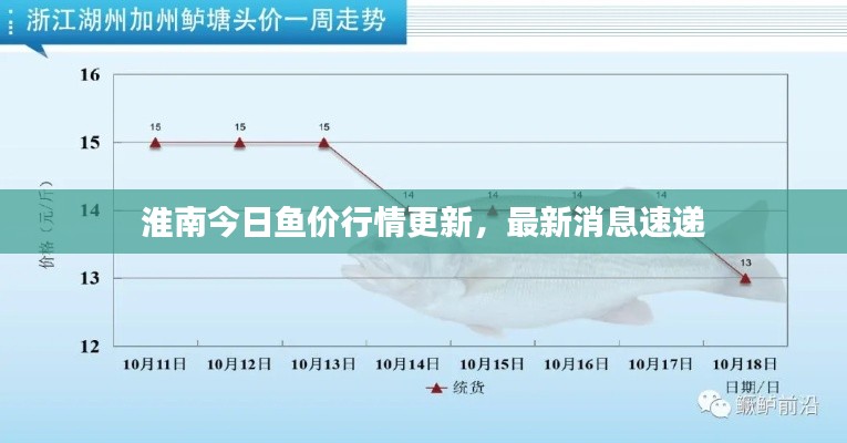 淮南今日鱼价行情更新，最新消息速递