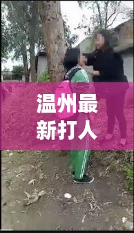 温州最新打人视频曝光，揭秘背后的故事，关于丈夫遭遇暴力事件全解析