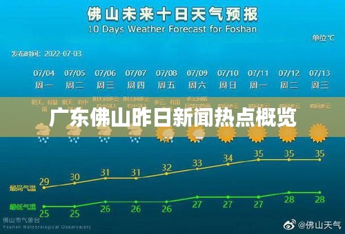 广东佛山昨日新闻热点概览