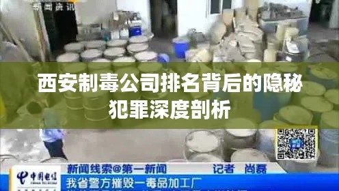 西安制毒公司排名背后的隐秘犯罪深度剖析