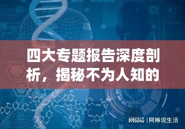 四大专题报告深度剖析，揭秘不为人知的细节