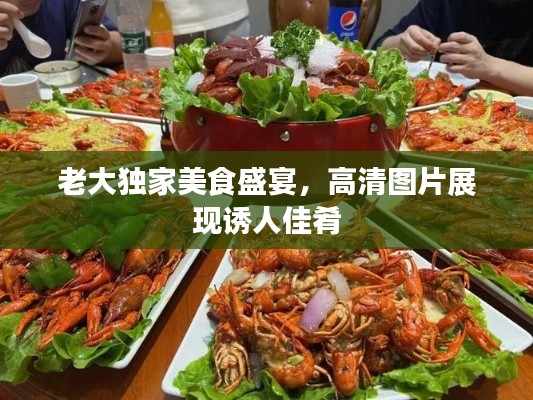 老大独家美食盛宴，高清图片展现诱人佳肴