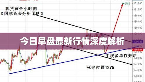 今日早盘最新行情深度解析