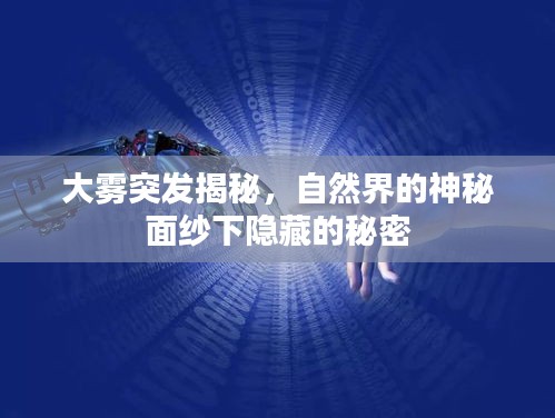 大雾突发揭秘，自然界的神秘面纱下隐藏的秘密