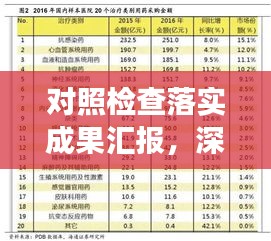 对照检查落实成果汇报，深度剖析问题，精准实施整改