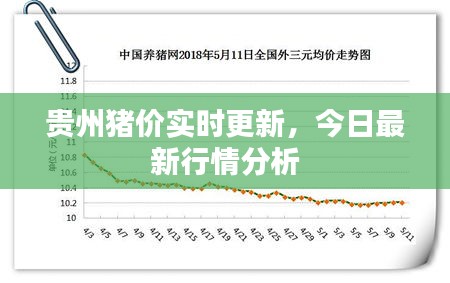 贵州猪价实时更新，今日最新行情分析