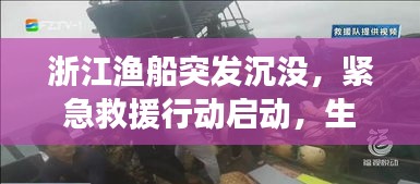 浙江渔船突发沉没，紧急救援行动启动，生死时速！