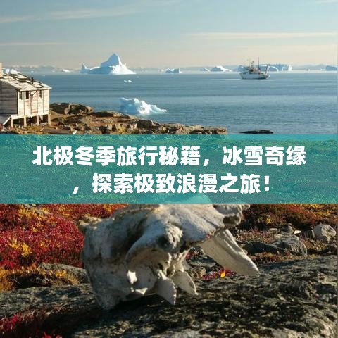 北极冬季旅行秘籍，冰雪奇缘，探索极致浪漫之旅！