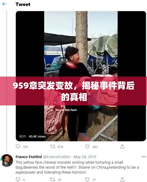 959章突发变故，揭秘事件背后的真相