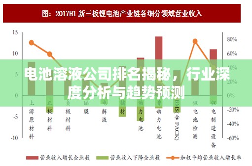 电池溶液公司排名揭秘，行业深度分析与趋势预测