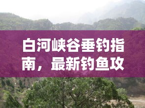 白河峡谷垂钓指南，最新钓鱼攻略全解析