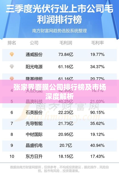 张家界面膜公司排行榜及市场深度解析