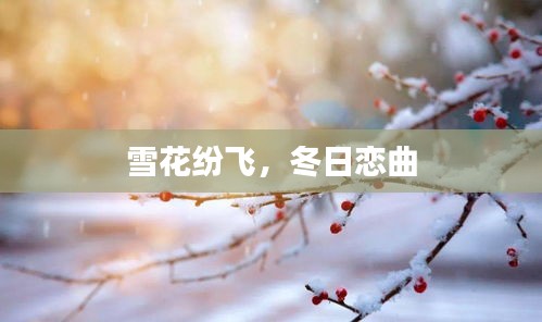 雪花纷飞，冬日恋曲