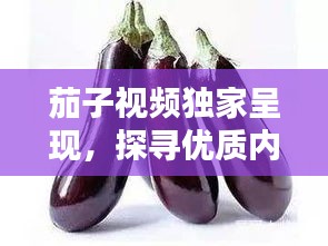 茄子视频独家呈现，探寻优质内容的独特魅力