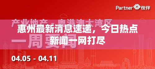 惠州最新消息速递，今日热点新闻一网打尽