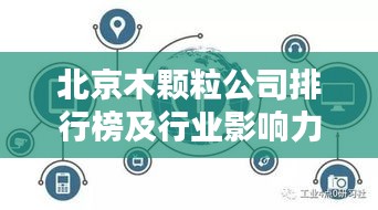 北京木颗粒公司排行榜及行业影响力深度解析