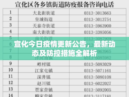 宣化今日疫情更新公告，最新动态及防控措施全解析