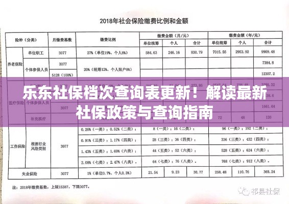 乐东社保档次查询表更新！解读最新社保政策与查询指南