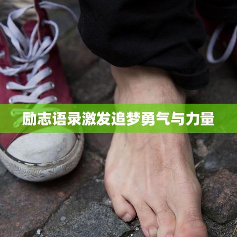 励志语录激发追梦勇气与力量