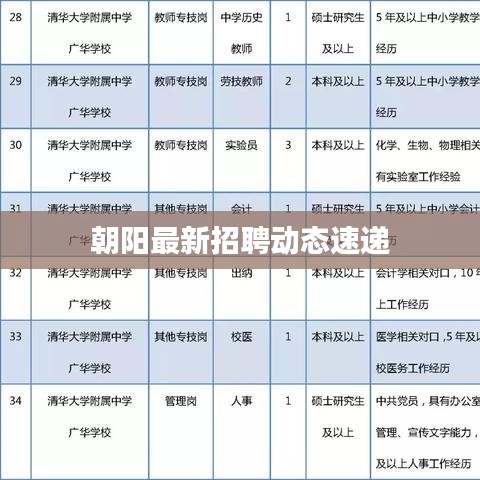 朝阳最新招聘动态速递