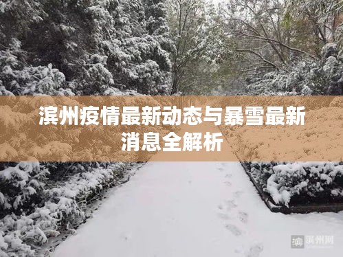 滨州疫情最新动态与暴雪最新消息全解析